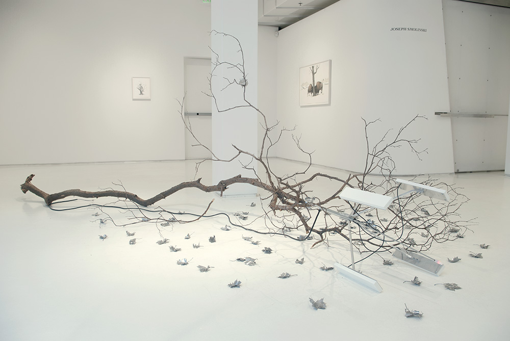 Sculpture Joseph Smolinski